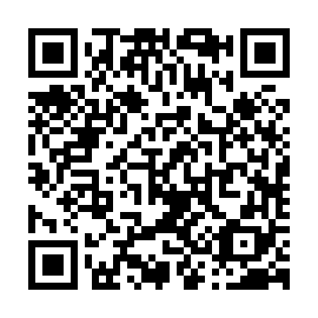QR code for P32868