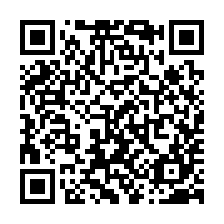 QR code for P33384