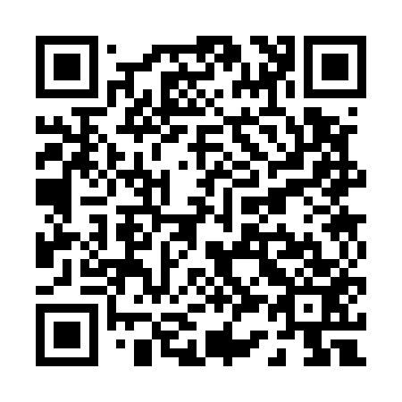 QR code for P33553
