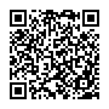 QR code for P33866