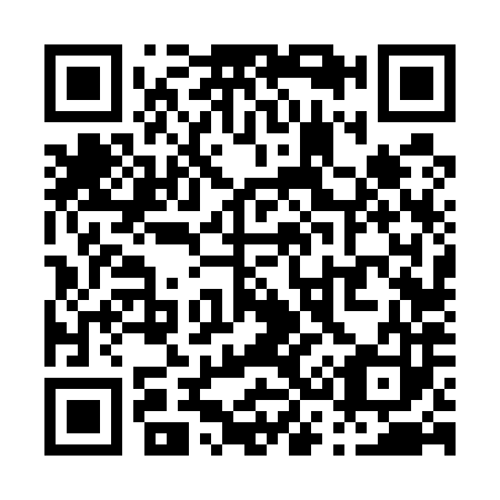 QR code for P36583
