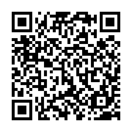 QR code for P36594