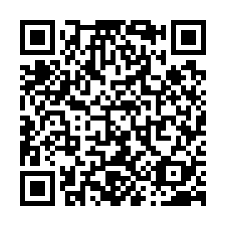 QR code for P37729
