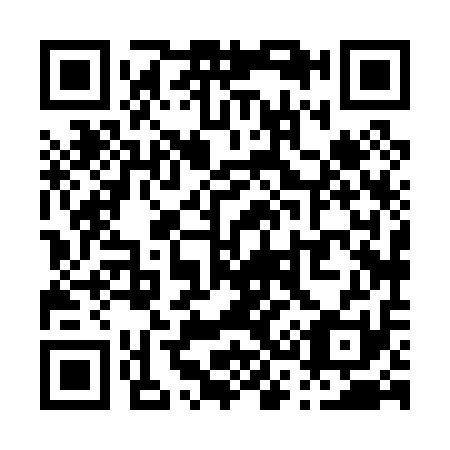 QR code for P38011