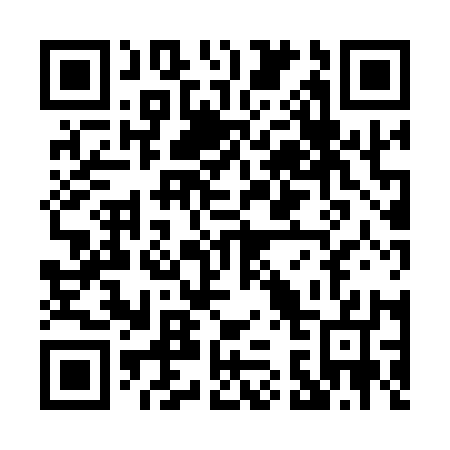 QR code for P38117