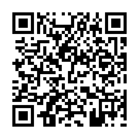 QR code for P38127