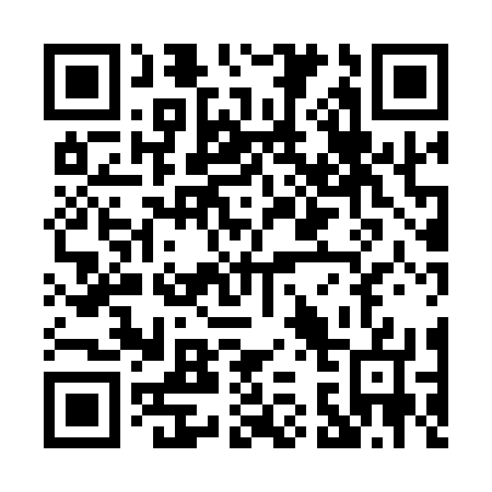 QR code for P38177
