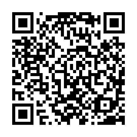 QR code for P38299
