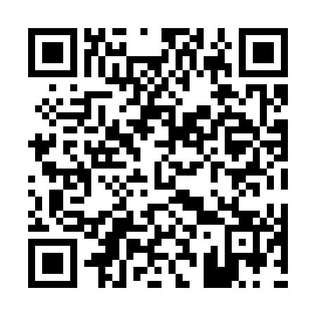 QR code for P38343
