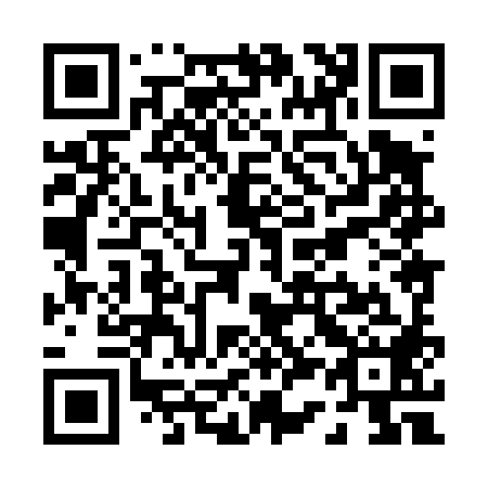 QR code for P38488