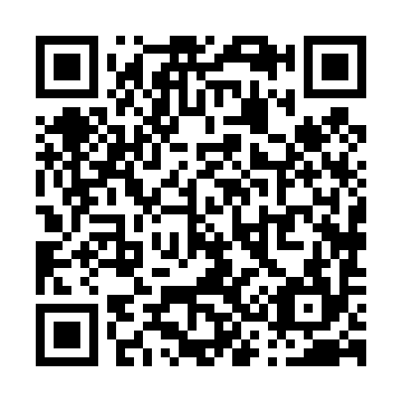 QR code for P38494