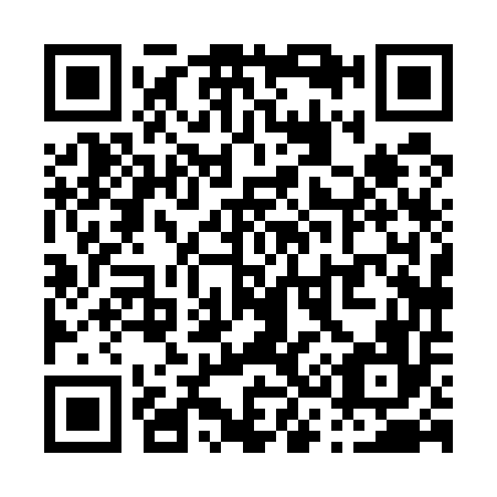 QR code for P38556