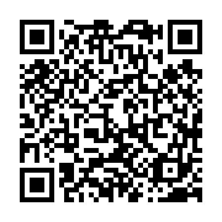 QR code for P38673