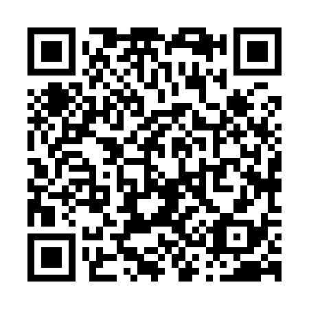 QR code for P38938