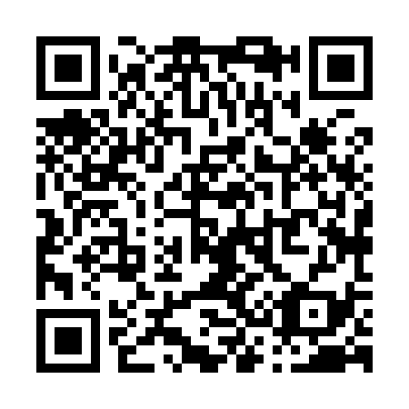 QR code for P38939
