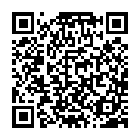 QR code for P40541