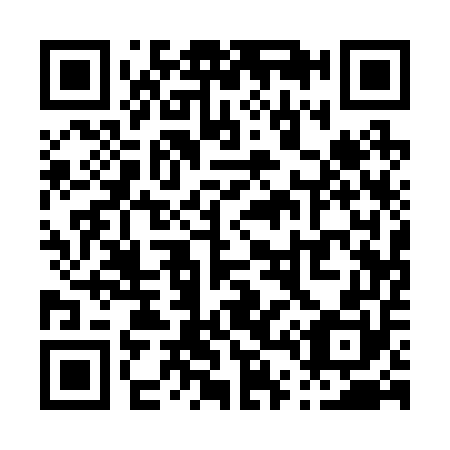 QR code for P41250