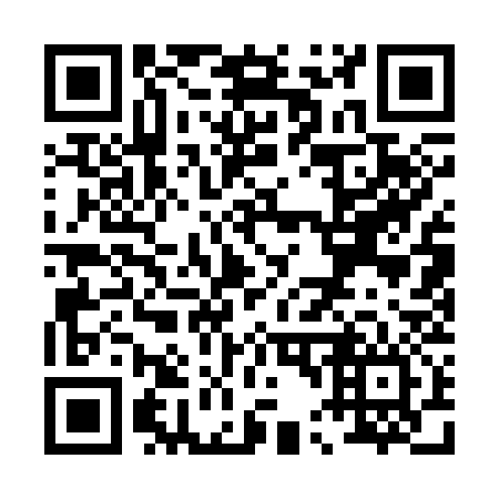 QR code for P41336