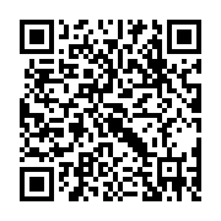 QR code for P41566