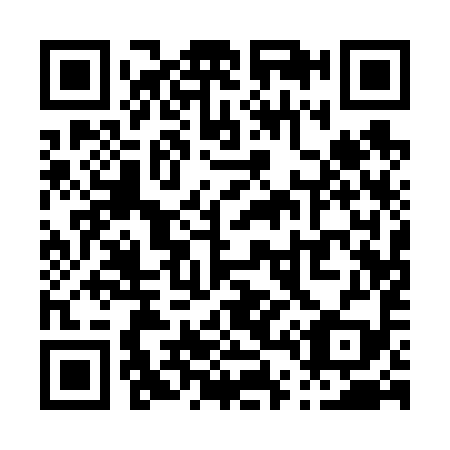 QR code for P41699