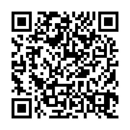 QR code for P41920