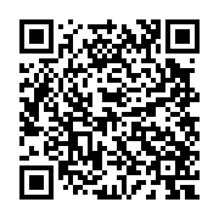 QR code for P42046