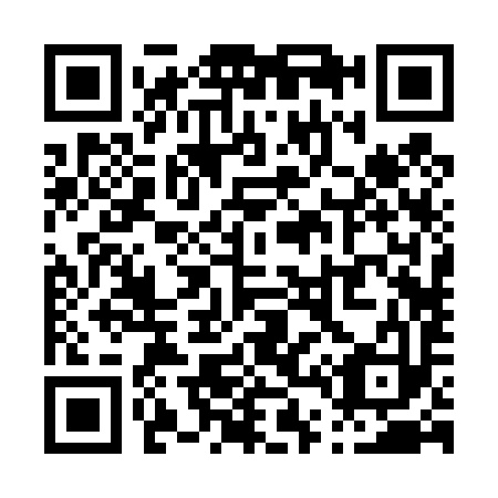 QR code for P42493