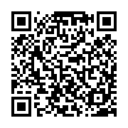 QR code for P42495