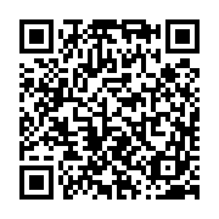 QR code for P42563