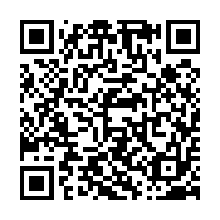 QR code for P43513