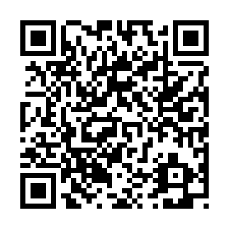 QR code for P45293