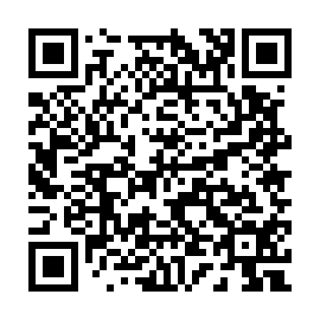QR code for P45514