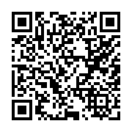 QR code for P45833