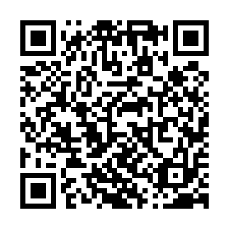 QR code for P46513