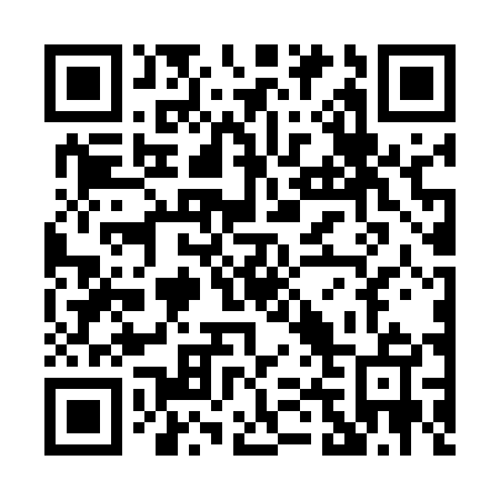 QR code for P46545