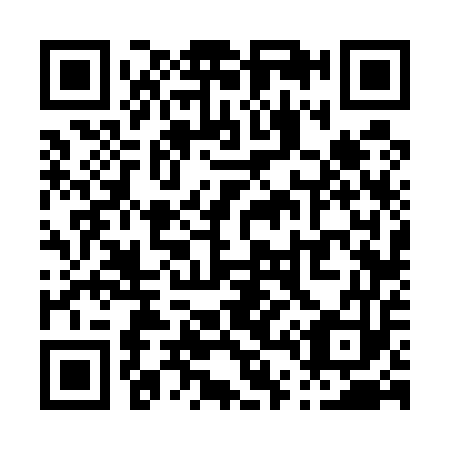 QR code for P46553