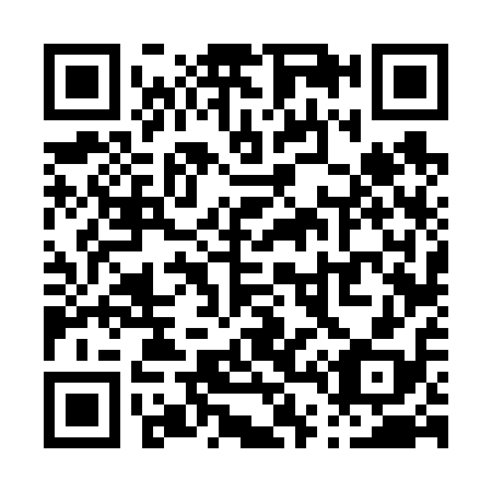 QR code for P46618