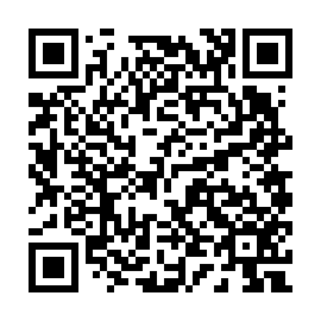 QR code for P46656