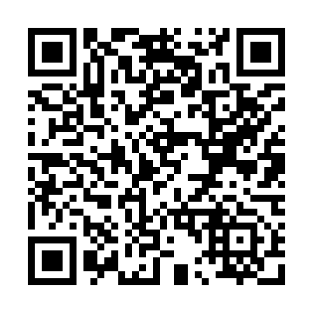 QR code for P46953