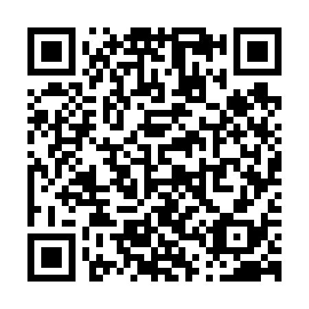 QR code for P47638