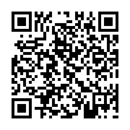 QR code for P48346