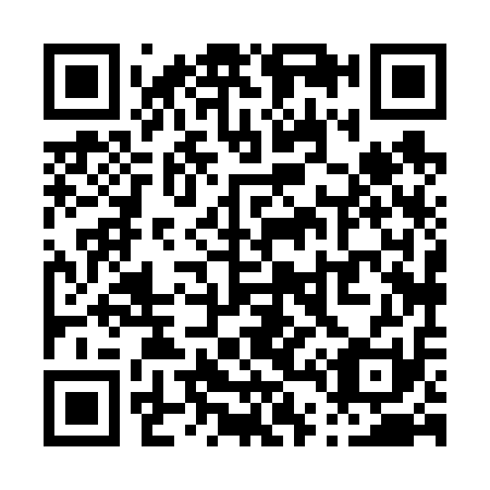 QR code for P48611