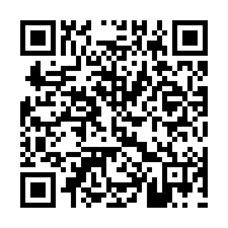 QR code for P49286