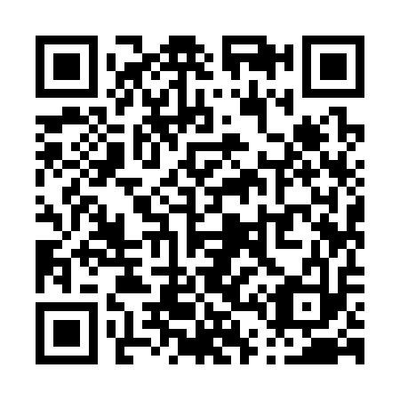 QR code for P49313