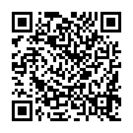 QR code for P49597