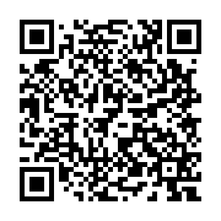 QR code for P50161