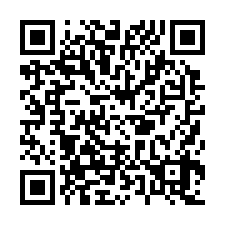 QR code for P50338