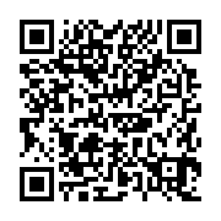 QR code for P50381