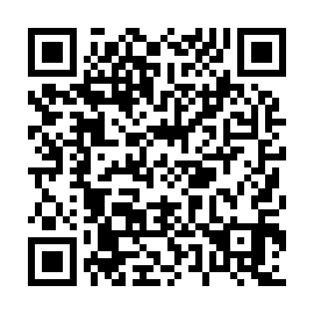 QR code for P50911