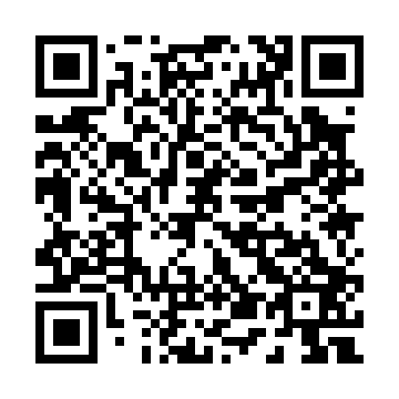 QR code for P51003